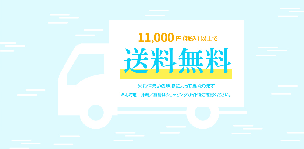 送料無料 11,000円(税込)以上 地域によって送料が異なる