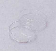 プラスチックシャーレ(10ヶ)