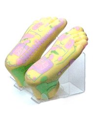 リフレクソロジー足模型
