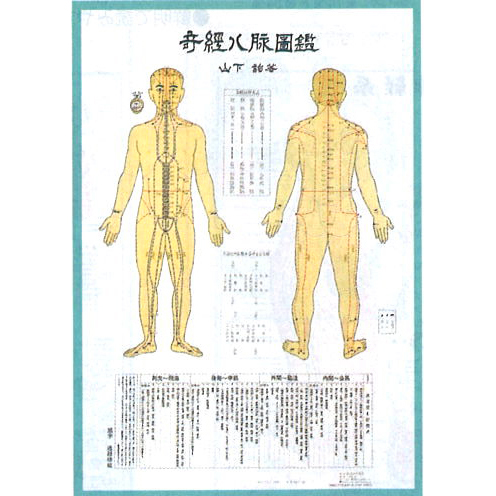 奇経八脈図鑑