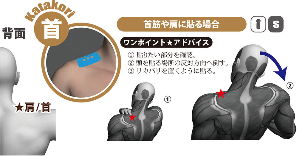 リカバリ 首筋や肩コリへのアプローチ方法