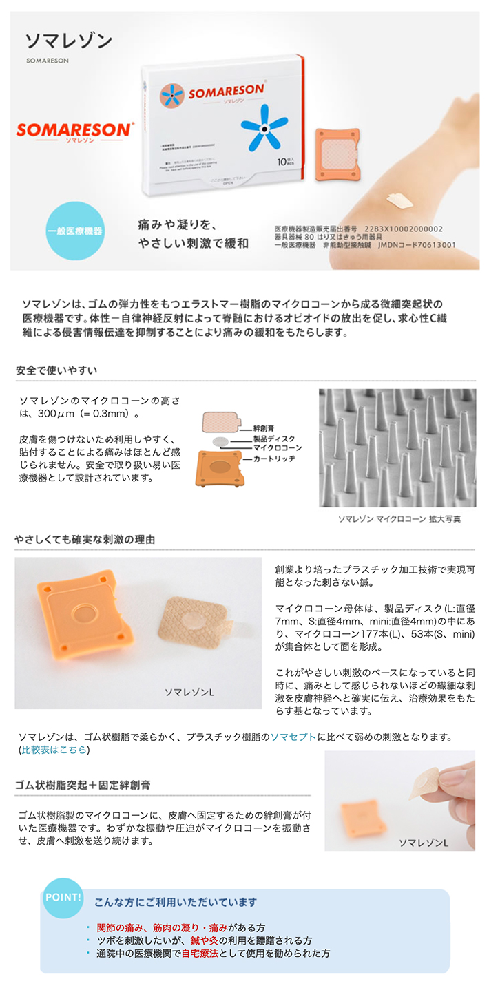 ソマレゾン マイクロコーンから成る微細突起状の医療機器